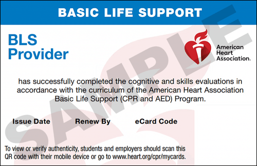 Sample American Heart Association AHA BLS CPR Card Certification from CPR Certification Jackson